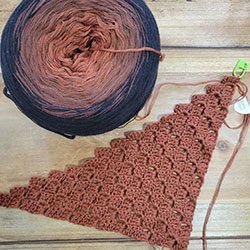 0173-Amber-C2C